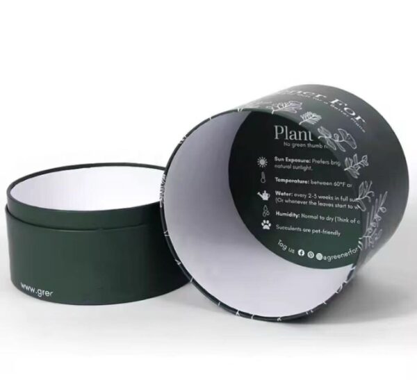 Plant Paper Tube - Image 3